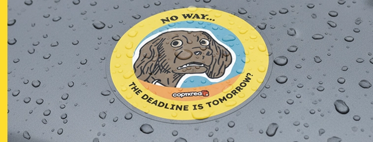 Adesivi in vinile laminati  