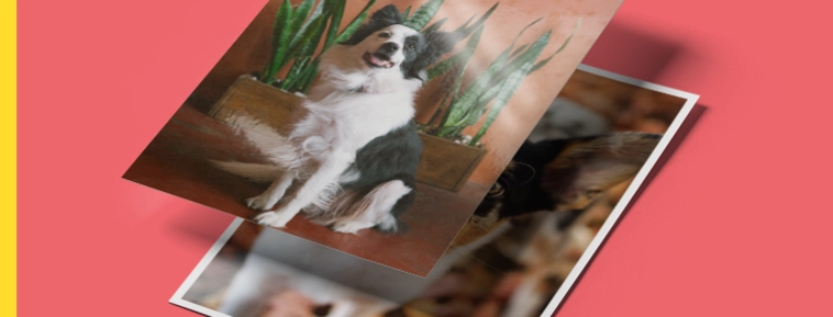 Sviluppo foto classico